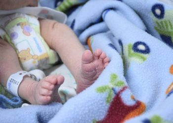 Qué es la pesquisa neonatal y por qué es importante para prevenir daños irreversibles en los bebés