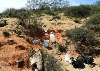 Río Negro: encontraron una nueva especie de dinosaurio