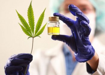 Realizaron un encuentro para informar sobre el cultivo de cannabis medicinal
