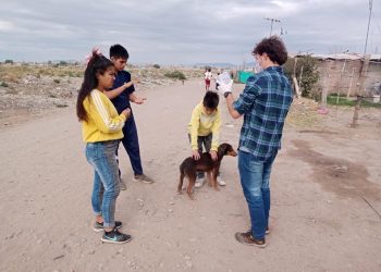 Trabajan en un plan especial para tratar a perros con sarna