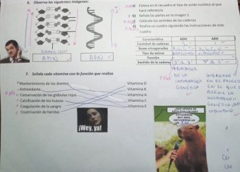Una docente de nivel medio califica con memes y la noticia se hizo viral