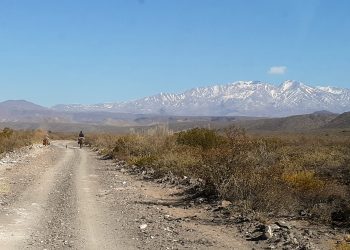 “Mapuche No, Pehuenche Sí”