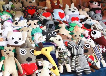 Distinción para alumnos de dos escuelas sanrafaelinas por un proyecto solidario de fabricación de muñecos