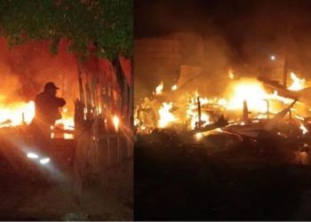 Drama en Jujuy: quisieron espantar abejas con humo y terminaron quemando una casa y dos autos