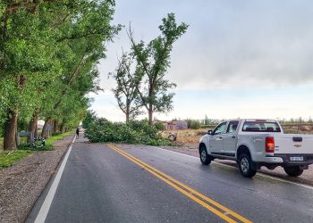 La tormenta dejó árboles y cables caídos en General Alvear