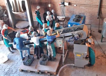 Un vino muy especial por los 81 años de la escuela Iaccarini