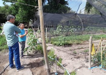 San Rafael será parte de las jornadas de eficiencia de riego superficial dictadas por el INTA
