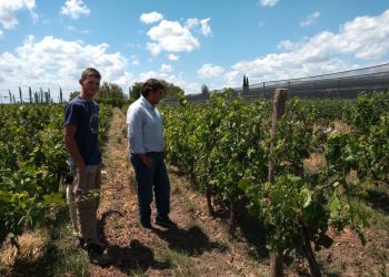 Funcionarios de Contingencias Climáticas recorrieron las zonas afectadas por heladas en General Alvear