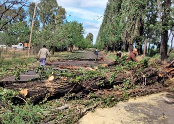 Inconvenientes tras la tormenta de la madrugada de ayer