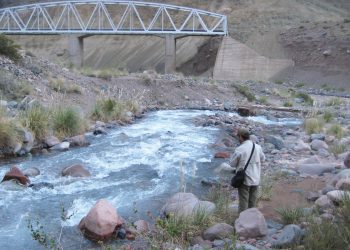 Pesca: comenzó la temporada y hay varios puntos donde sacar el carnet