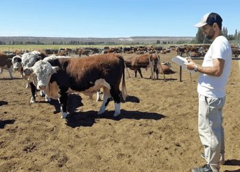 En la Sociedad Rural de Valle de Uco se desarrollarán charlas técnicas sobre ganadería