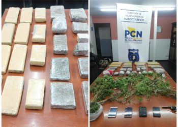 Secuestraron más de 40 kilos de marihuana en la Terminal de Guaymallén y Las Heras