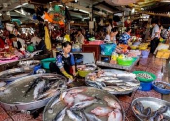 Un científico estadounidense habría identificado al caso cero de COVID-19