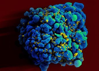 Una mujer argentina se habría curado de VIH por inmunidad natural