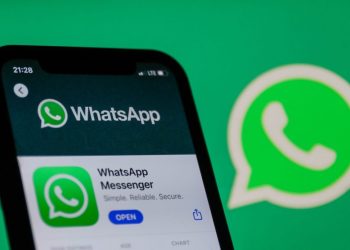 WhatsApp: cómo hacer que las notificaciones suenen como un gallo, maullido o el antiguo msn
