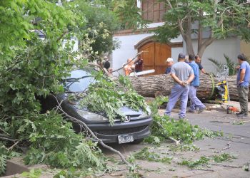 Caída de granizo ayer por la mañana alertó a vecinos de algunas zonas de Ciudad
