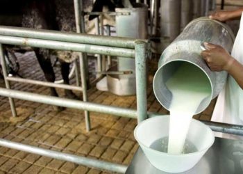 Aumentó la venta de leche directamente del tambo