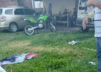 Corrientes: detienen a cuatro policías por robar una oveja para hacer un asado en una comisaría