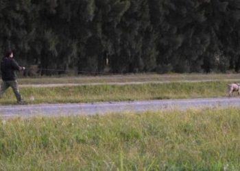 Amenazaron al adiestrador del perro que encontró el cuerpo de Anahí Benitez