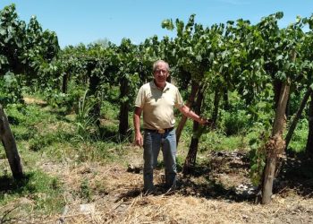 “Catástrofe”: la desesperación de un productor de San Juan tras una medida por el agua