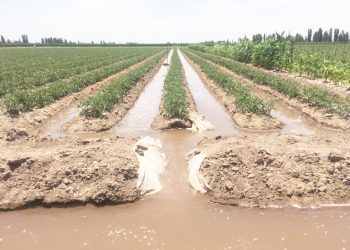 San Rafael fue parte de las jornadas de eficiencia de riego superficial