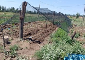 Entregaron tela antigranizo para huertas familiares en hornos de ladrillos