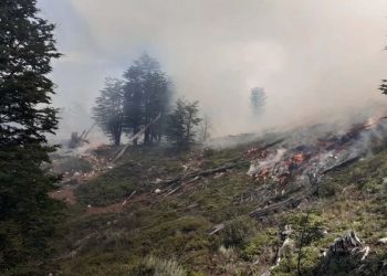 Incendios en la Patagonia: «Pedimos colaboración a Chile, pero están en una situación casi más delicada»