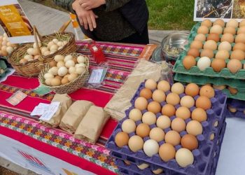 Todo listo para encuentro de feriantes de Agricultura Familiar y Campesina