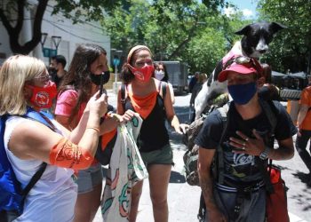 Manifestantes marcharon contra el maltrato animal: pidieron penas más severas y un registro de agresores