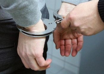 Descontrol en Buenos Aires: Un detenido, drogas incautadas y un mono encerrado durante una fiesta