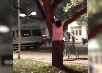 Horror en una fiesta universitaria : le pusieron algo en el fernet, lo asaltaron y lo dejaron «crucificado» en un árbol