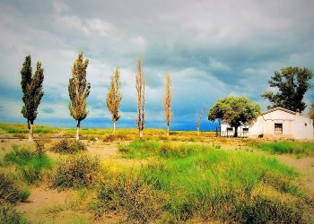 En pleno 2022 los vecinos de Los Parlamentos siguen esperando por la red de energía eléctrica