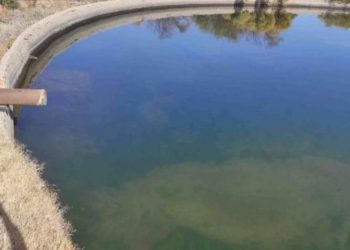 Dolor en Lavalle: un chico de 20 años se refrescaba con amigos y murió ahogado