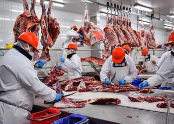 El Gobierno prohibió exportar siete cortes de carne para contener los precios