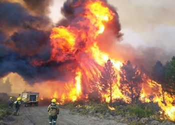 El país en llamas: declaran la emergencia ígnea por un año y alertan que la situación es «preocupante»