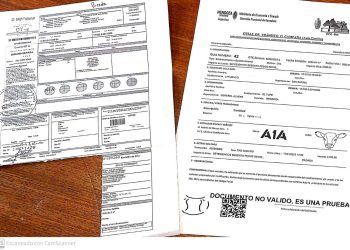 Innovación: Ganadería creó una guía digital de autogestión para el traslado de animales