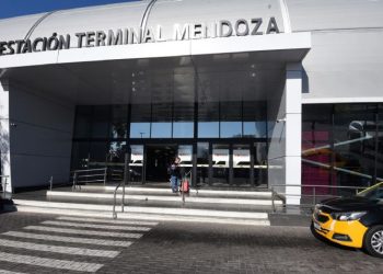 Incautan encomiendas en la Terminal de Mendoza con una curiosa mercadería