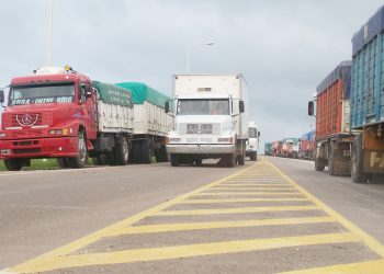 Más de mil sanrafaelinos ejercen el oficio de “camionero”
