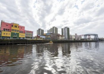 Preocupación: identificaron en el Riachuelo dos virus «nunca antes vistos» en la Argentina