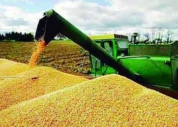Récord: el campo aportó en 2021 unos 32.800 millones de dólares