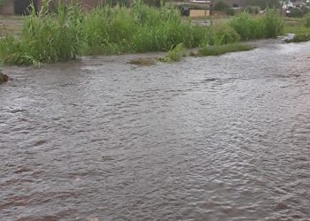 Solicitan el hormigonado del desagüe pluvial de calle Emilio Mitre