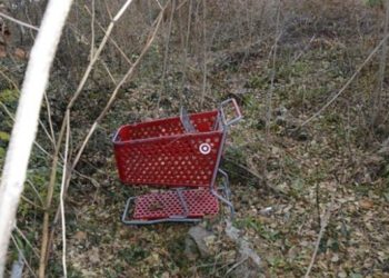 Terror  por el asesino serial del “carrito de supermercado”