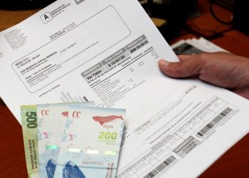 La ONG Protectora critica la calidad de los servicios