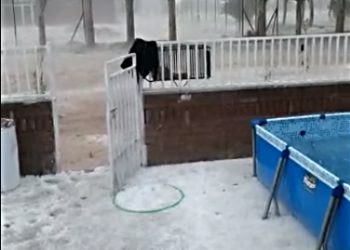 En todo el Sur provincial precipitó lluvia y granizo durante la tarde de ayer