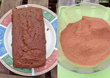 Novedosa propuesta: emprendedoreslocales venden pan de “harina de pino”