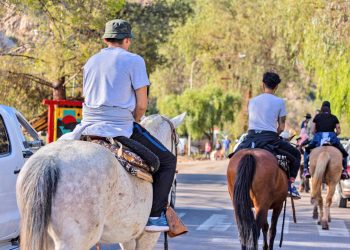 Turismo: Mendoza finaliza la primera quincena de enero con éxito