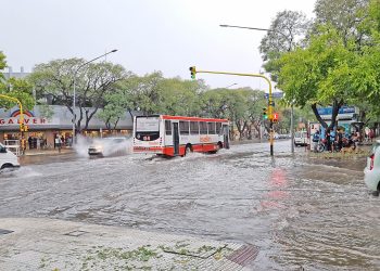 Las tormentas causaron caída de árboles y daños en zonas cultivadas de distritos