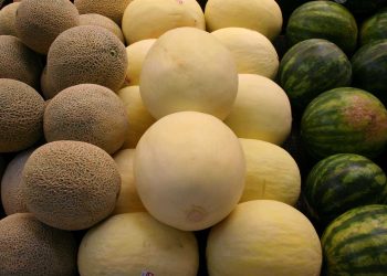Vendimia, época ideal para aprovechar los mejores melones y sandías