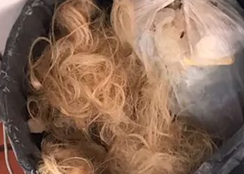 El drama de Sheila: fue a una peluquería antes de su fiesta de 15 y por error la dejaron pelada