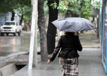El saldo de la tormenta: crecida de ríos y árboles caídos